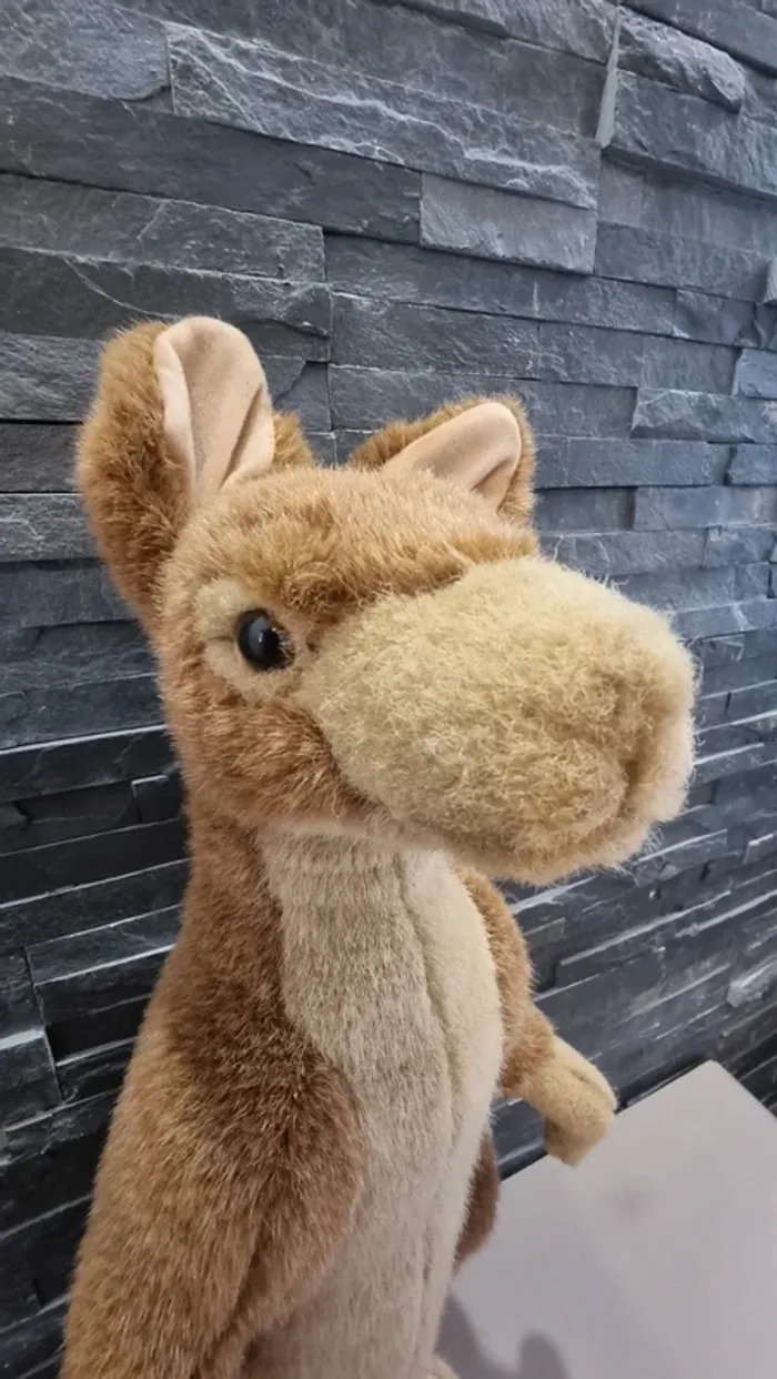 Peluche - photo numéro 3