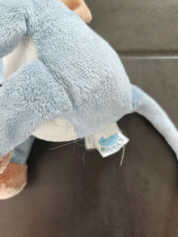 Âne bleu - photo numéro 3