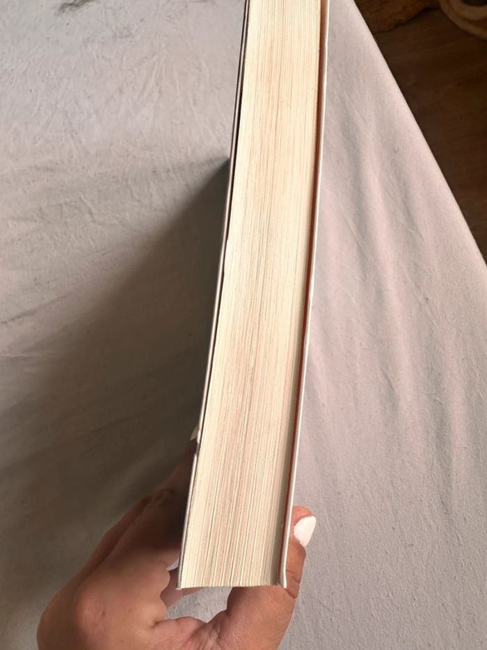 À la lumière du petit matin – Agnès Martin-Lugand - photo numéro 3