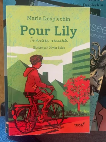 Pour Lily - quartier sensible  de Marie Desplechin