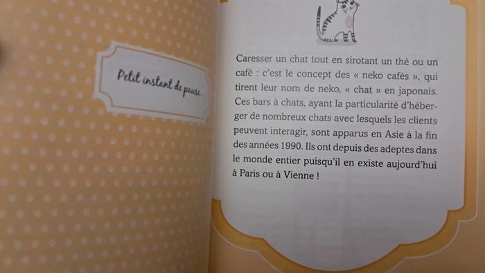 Rendre son chat heureux carnet de santé et livre - photo numéro 8
