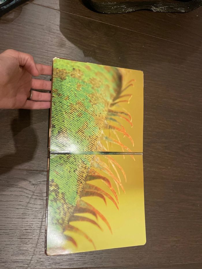 Drôles de peaux! - photo numéro 2