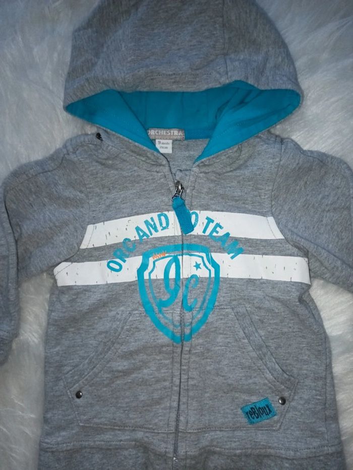 Gilet zippé a capuche 9mois - photo numéro 3