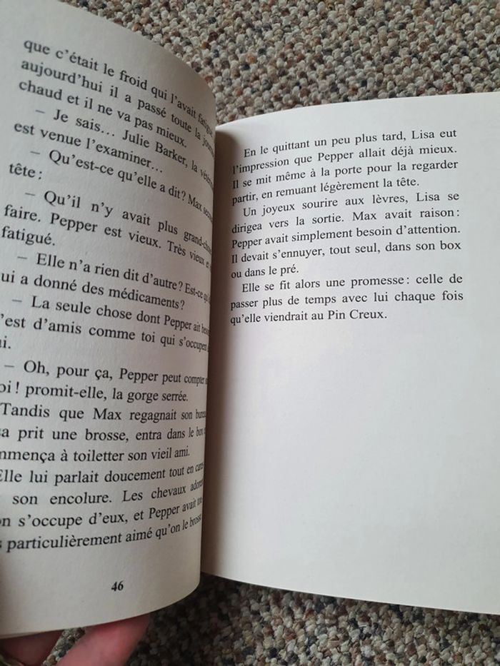 Livre Pour l'amour d'un cheval - photo numéro 2