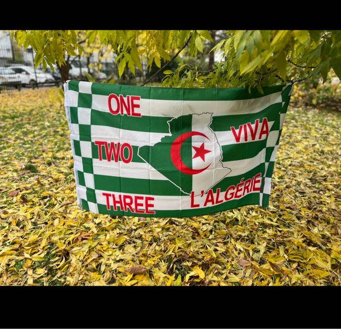 Drapeaux Algérie - photo numéro 3
