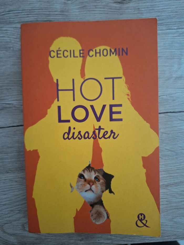 Livre Hot Love disaster