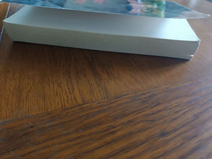 Mariée de force - photo numéro 4