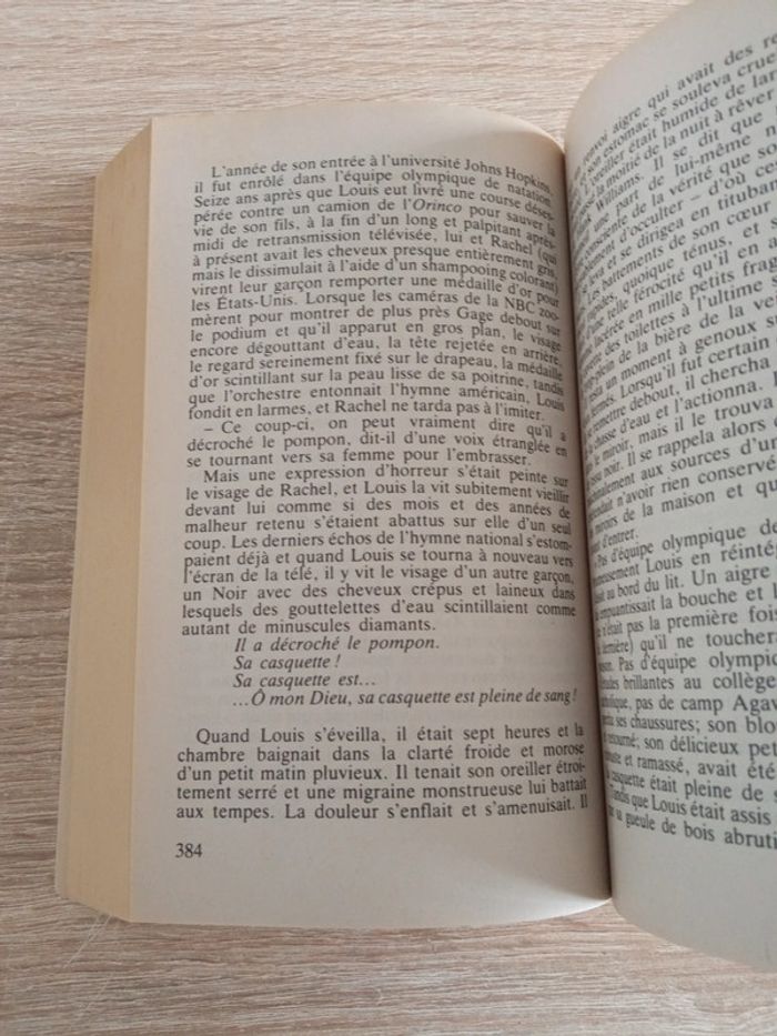 Simetierre- Stephen king - photo numéro 5