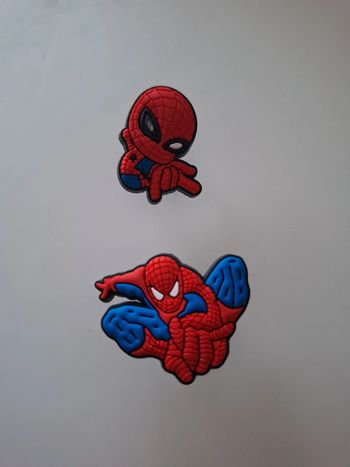 Lot de 2 Charms