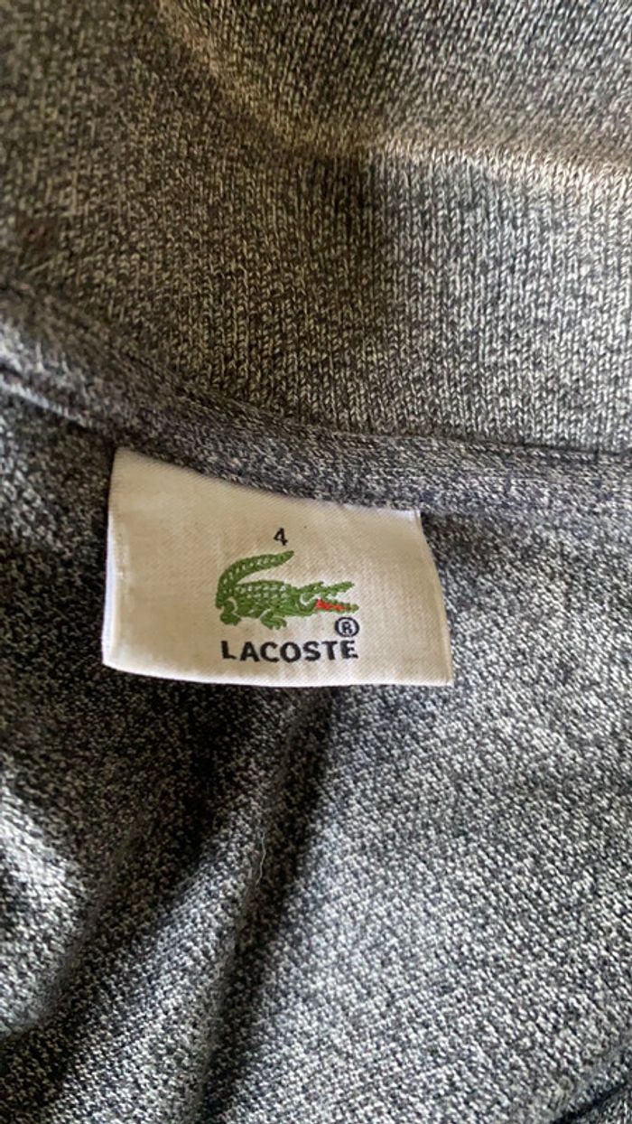 polo Lacoste - photo numéro 3