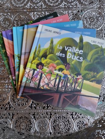 Lot de 5 livres Merveilles de France 💚