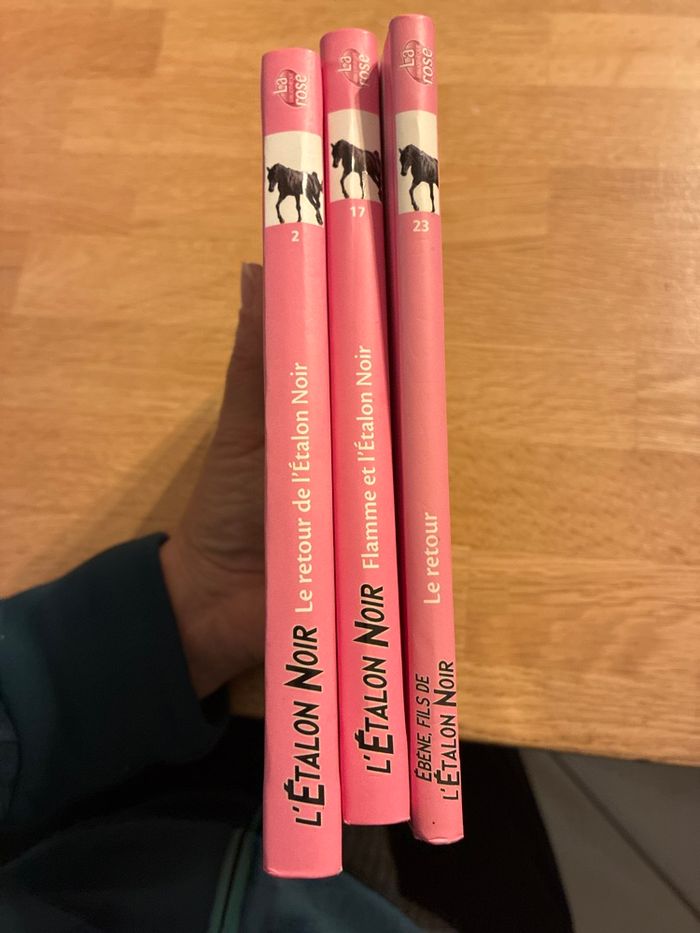 Lot de livres l’étalon noir - photo numéro 3