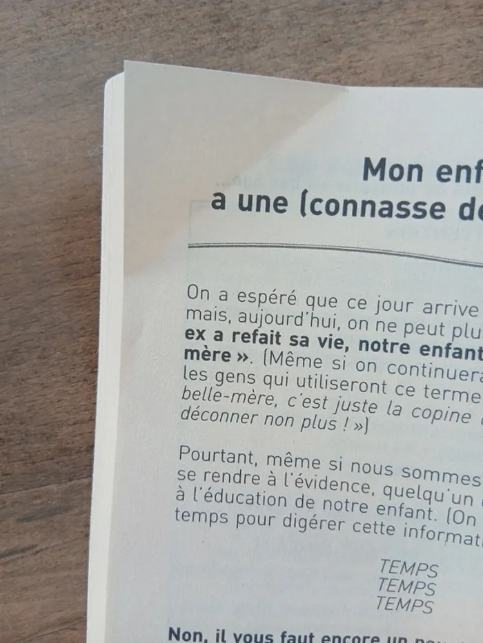 La mère parfaite est une connasse! Guide de survie pour mères normales - photo numéro 3