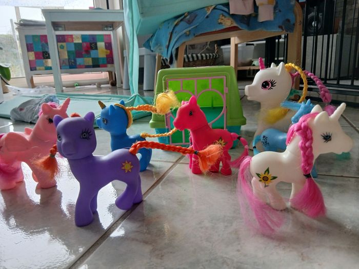 Poneys et caisse de transport - photo numéro 2