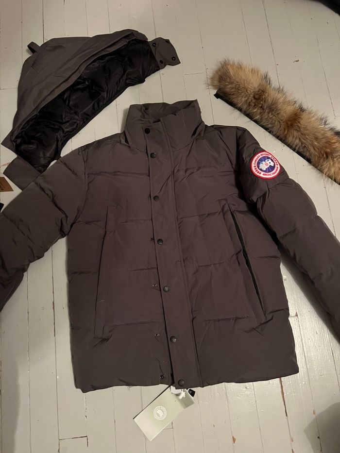 Canada goose - photo numéro 3