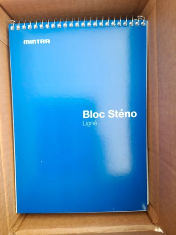Lot de 10 bloc sténo