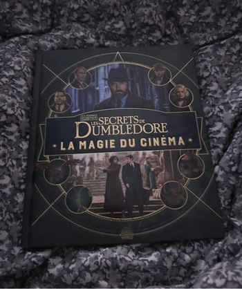 Les secrets de Dumbledore