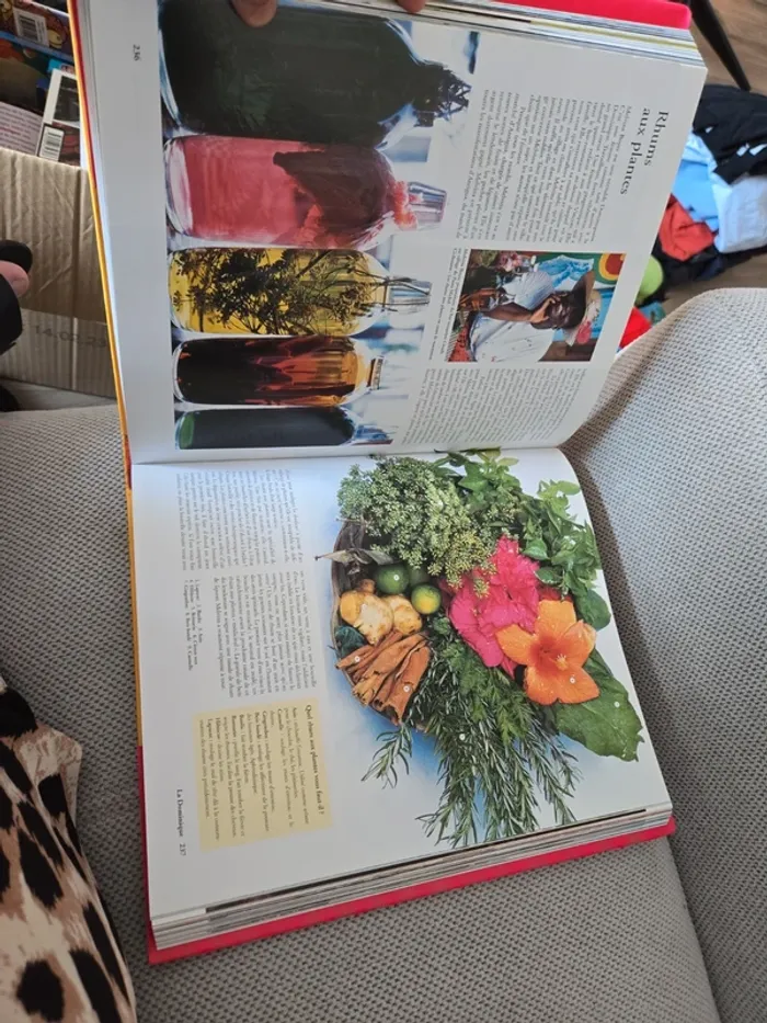 Livre les Antilles - photo numéro 2