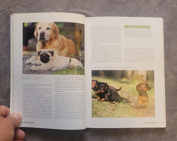 Mon Chiot Découvre Le Monde - Tome 0 Joachim karim - photo numéro 2