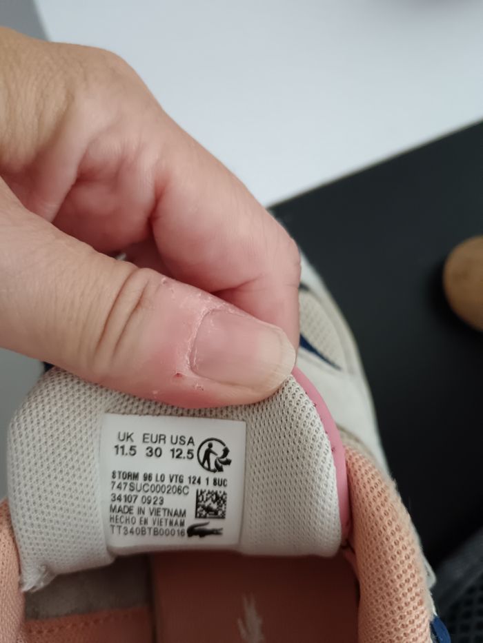 Basket lacoste - photo numéro 4