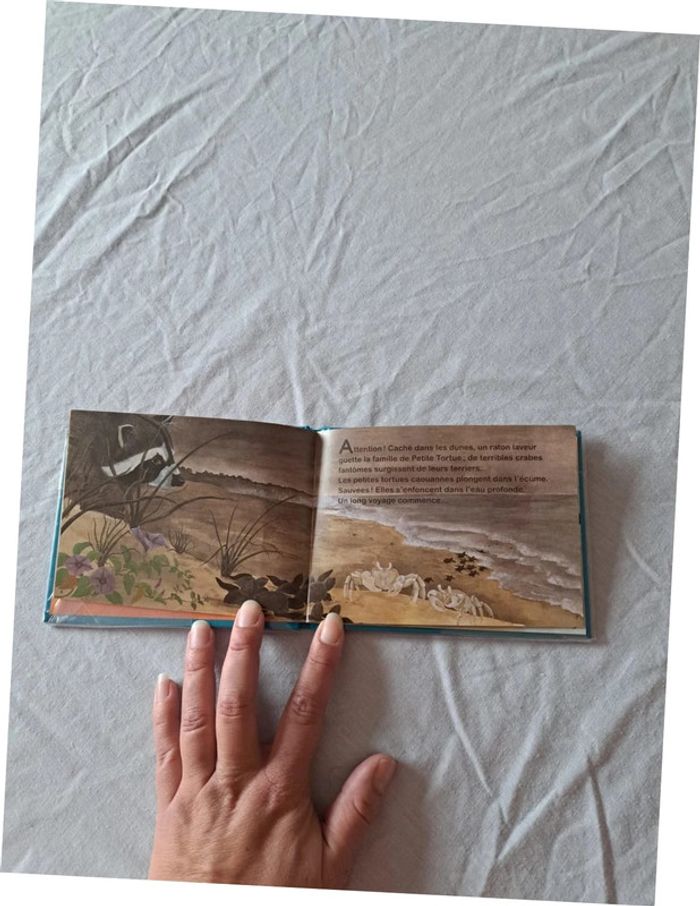 Livre Petite Tortue Casterman - photo numéro 4