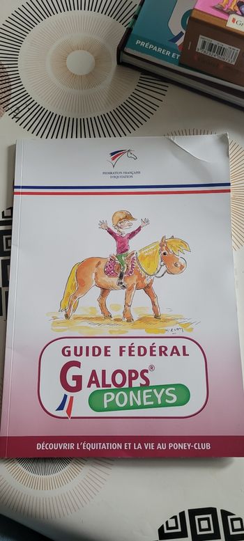 Equitation poney