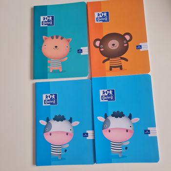 Lot de petits cahiers oxford 