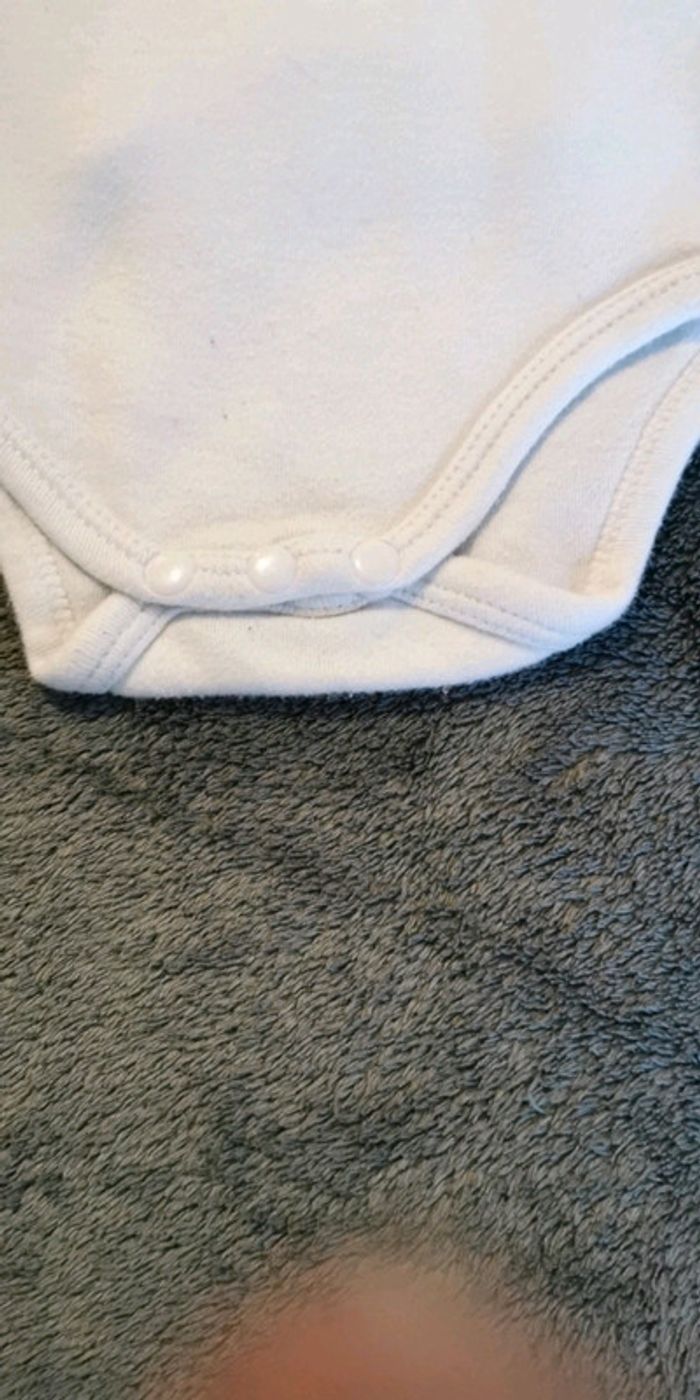 Lot de 3 bodies 6 mois - photo numéro 3