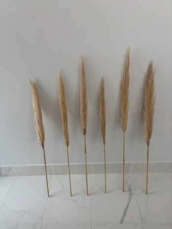 Lot de 6 tiges de pampas