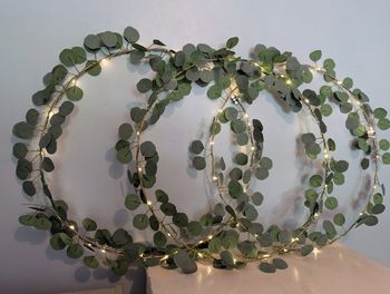 3 couronnes d'eucalyptus lumineuses 60cm
