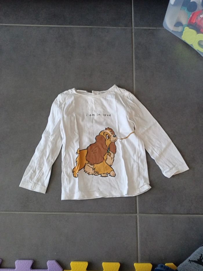 Lot tee shirts manches longues, 24 mois - photo numéro 5