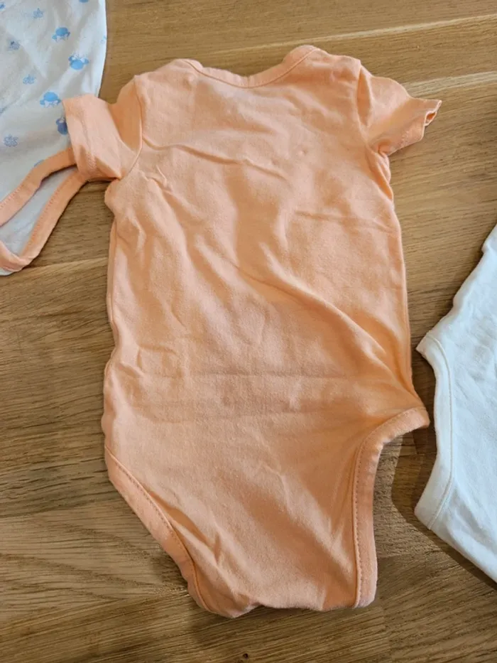 Lot de 3 bodies manches courtes - photo numéro 5