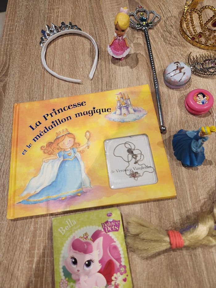 Livre princesse - photo numéro 2