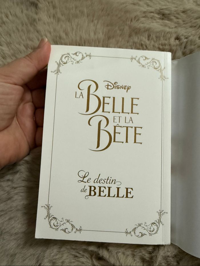 Manga le destin de Belle - La belle et la bête - photo numéro 7