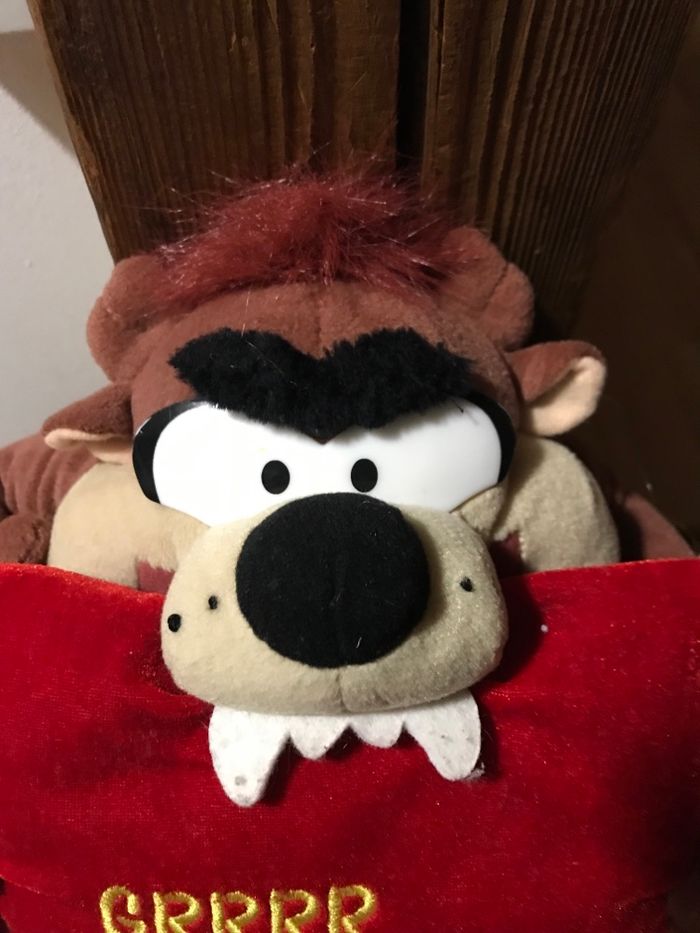 Peluche Looney Tunes Taz i Love you - photo numéro 2