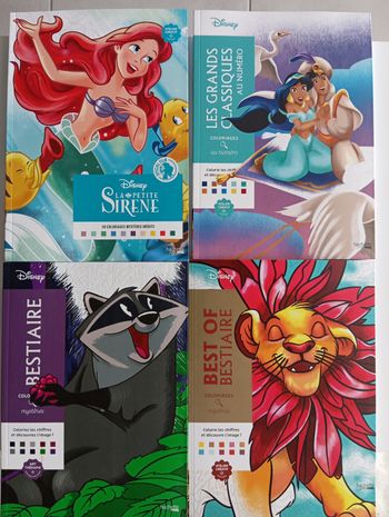 Lot de 4 coloriages mystère Disney