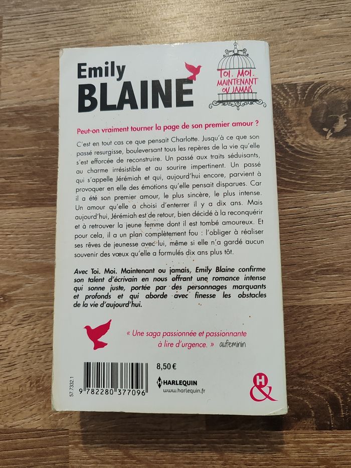 Emily Blaine, Toi. Moi. Maintenant ou jamais - photo numéro 2