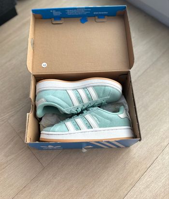 Basket campus  turquoise 