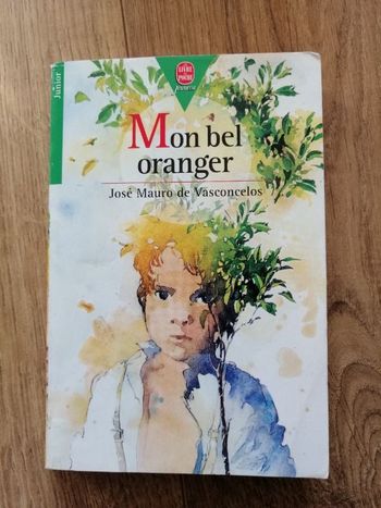 Livre Mon bel oranger de José Mauro de Vasconcelos en bon état