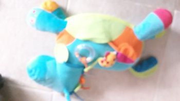 Poney bawi bleu - photo numéro 3