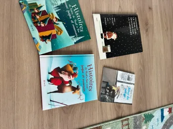 Lot livres thème Noël