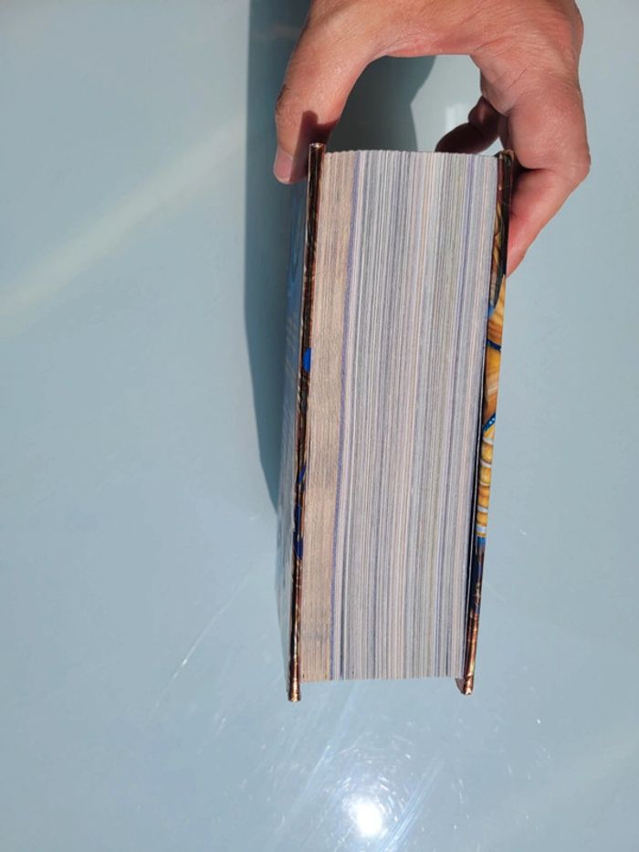 Geronimo Stilton : Très gros livre Chevalier au Royaume de la Fantaisie 🛡 - photo numéro 16