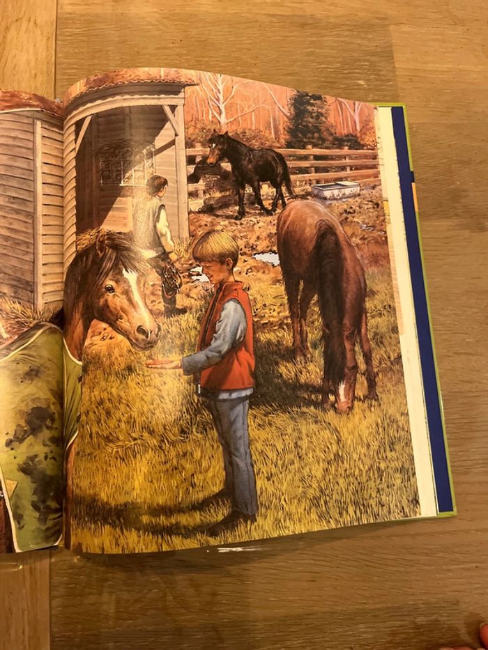 Livre les poneys - photo numéro 4