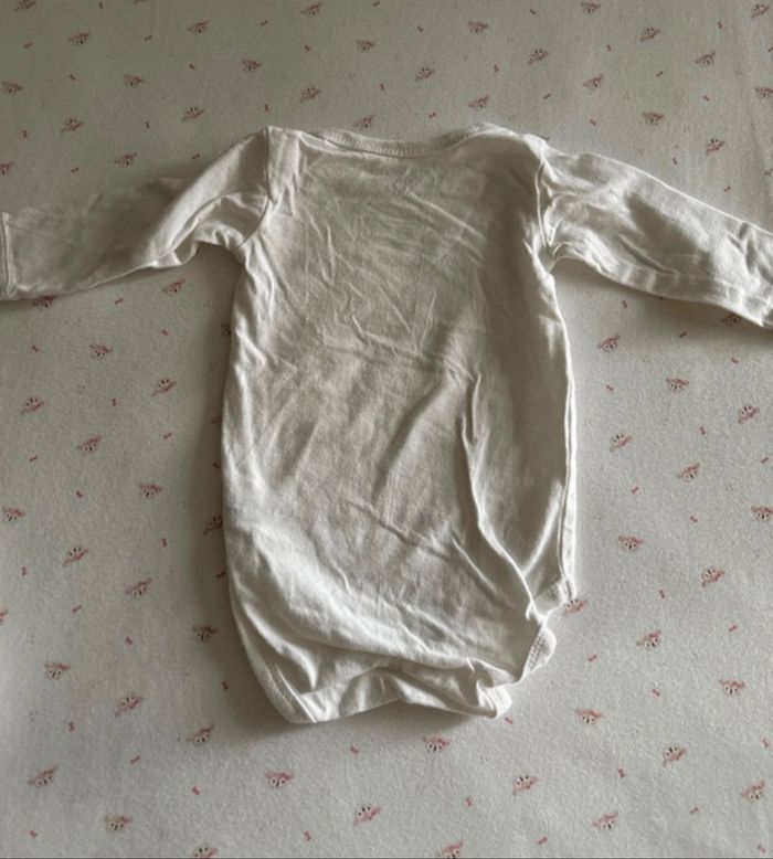 Lot bodies - photo numéro 7