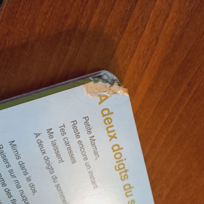 Livre mes premiers berceuses - photo numéro 2