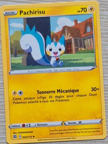 Pachirisu Stars Étincelantes