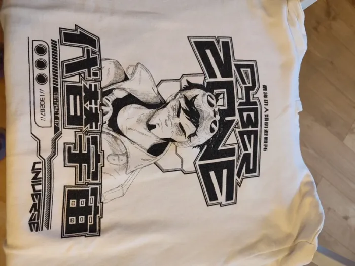 Sweat à capuche DHBER zone