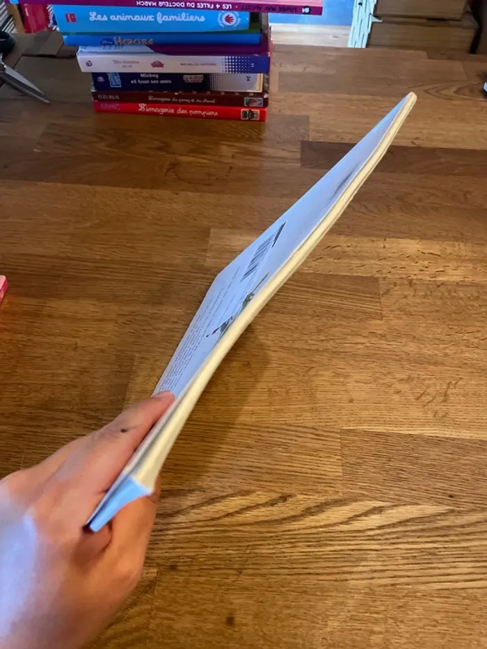 Livre L’école des Max Le prince le dragon et le chevalier intrépide - photo numéro 6