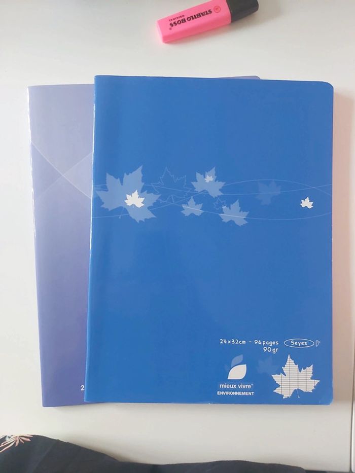 Lot cahiers grand format