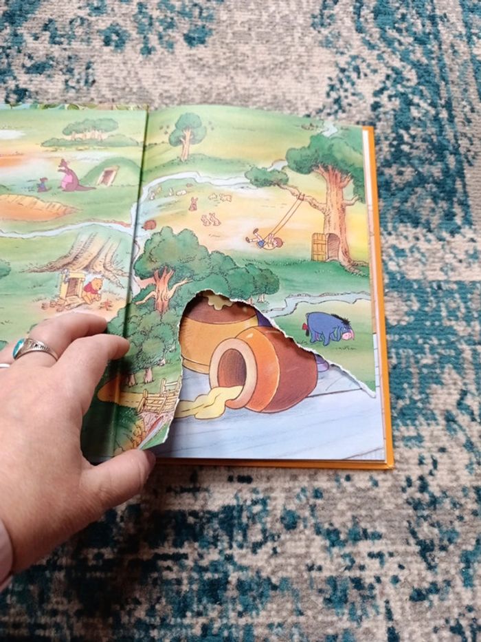 Livre Disney - photo numéro 3